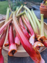 Load image into Gallery viewer, Half Day Wellbeing Retreat