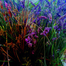 Load image into Gallery viewer, LAVENDER PEPPERMINT CAMPER